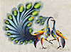 Peacock and Peahen