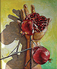 Crucified Pomegranate